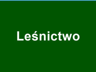 odnośnik do zakładki Leśnictwo