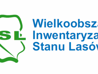 grafika inwentaryzacja stanu lasów