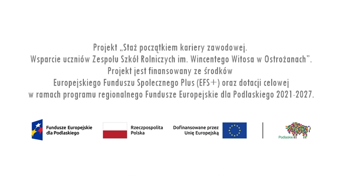 projekt grafika projekt ue zsr ostrożany baner projekt zsr ostrożany